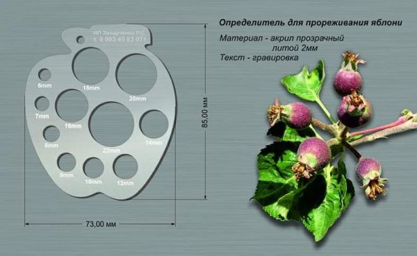 Ручные калибраторы для томатов, слив, яблок и завязей плодов